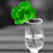 4LeavesDesign