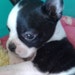 Buyer Avatar