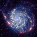 ancasta1