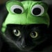 Buyer Avatar