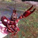 Buyer Avatar