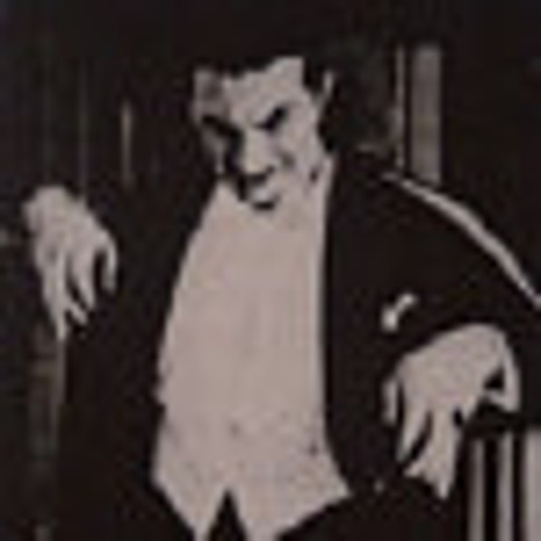 Chums Reversi Wallet Tree Waves Australia