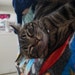 Tabitha R