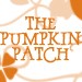 PumpkinPatchDesigns