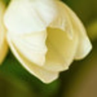 klizaDESIGN