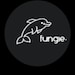 fungiethedolphin