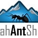 Ant Shop