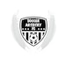 SoccerArtistryFC