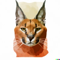 CaracalStudio