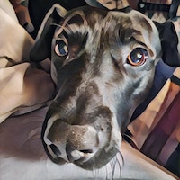 TheMoodyReader2