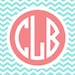 Buyer Avatar