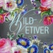 WildVetiver