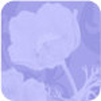 HerbGardenBodyCare
