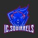 IC Squirrels