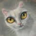 Buyer Avatar