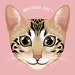 Melrose Cat