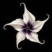 Thornapple Collective
