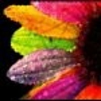 qcsupplies