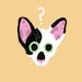 Buyer Avatar