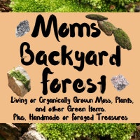 MomsBackyardForest
