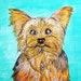 Buyer Avatar