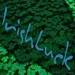 IrishLuck avatar
