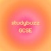 studybuzz
