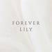 ForeverLilyCo