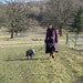 Bessie B