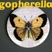 Gopherella