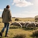 SHEEPSKINLIFE