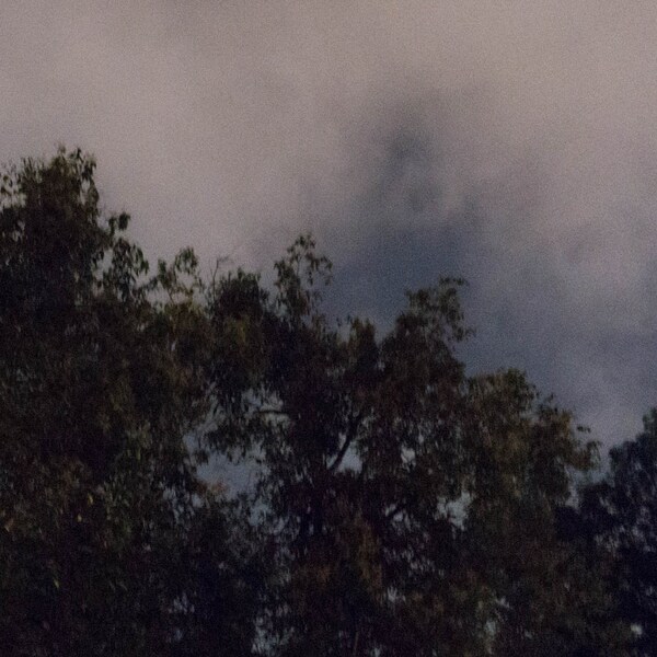 Unisex Stainless Steel Twist Chain Leather Bootstrap Double Thick FREE ...