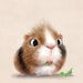 Buyer Avatar