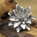 TreasureinSilver