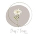 DaisyJDesignCo