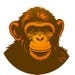 WildCampingMonkey