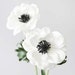 FleurStudiosCo