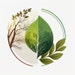 Ecogalia
