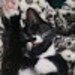Buyer Avatar