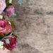RedFoxDesignsUS