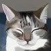 CatnapJo
