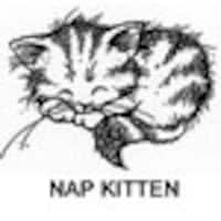 NapkittenPattern