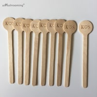 MushroomWoodenCraft