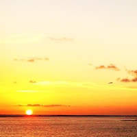GulfCoastTreasure