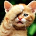 cathy avatar