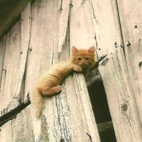 TheOldBarnDoor