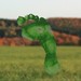 Communist Green avatar