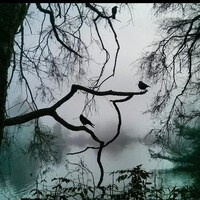 thehorrorden