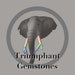 TriumphantGemstones