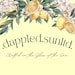 DappledSun